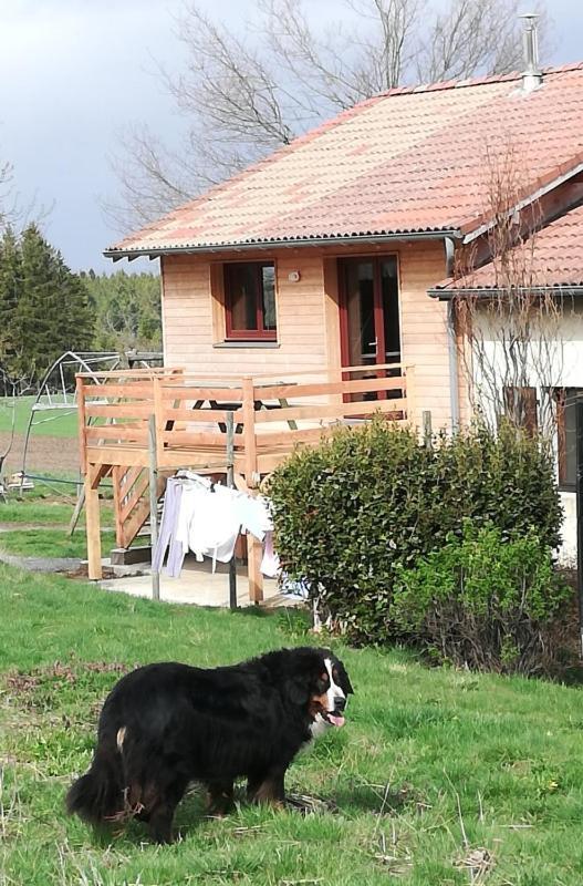 Gite La Ferme De Baffour La Chaise-Dieu Dış mekan fotoğraf